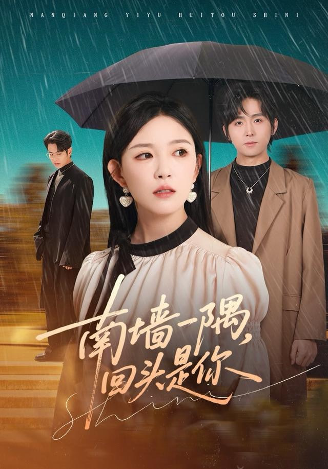 南墙一隅，回头是你(全集)