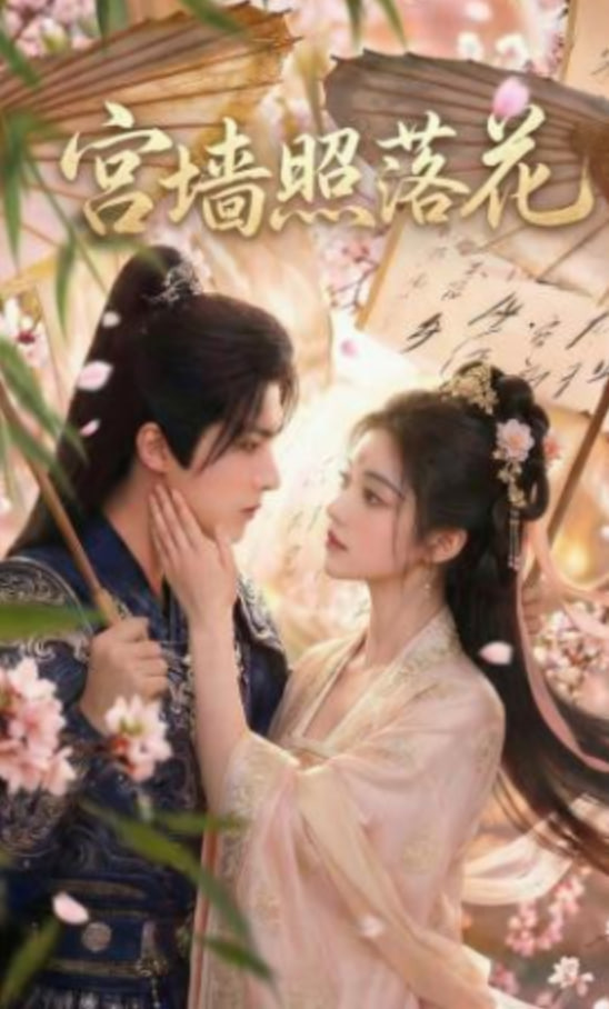 宫墙照落花(全集)