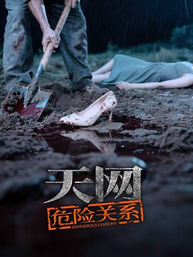 天网：危险关系