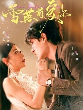 雪落前爱你(全集)