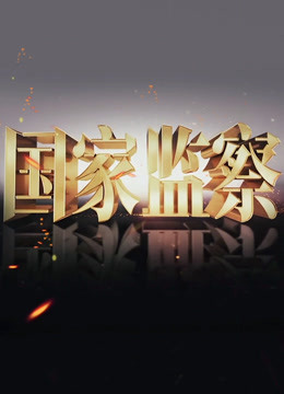 国家监察(全集)