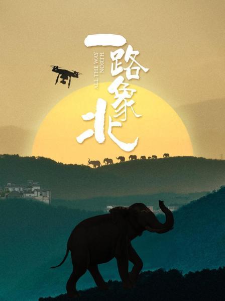 一路“象”北(全集)