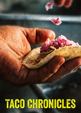 塔可美食纪 第三季(全集)