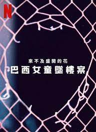 来不及盛开的花：巴西女童坠楼案(全集)