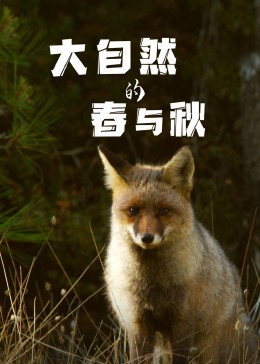 大自然的春与秋(全集)