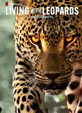 豹崽同行(全集)