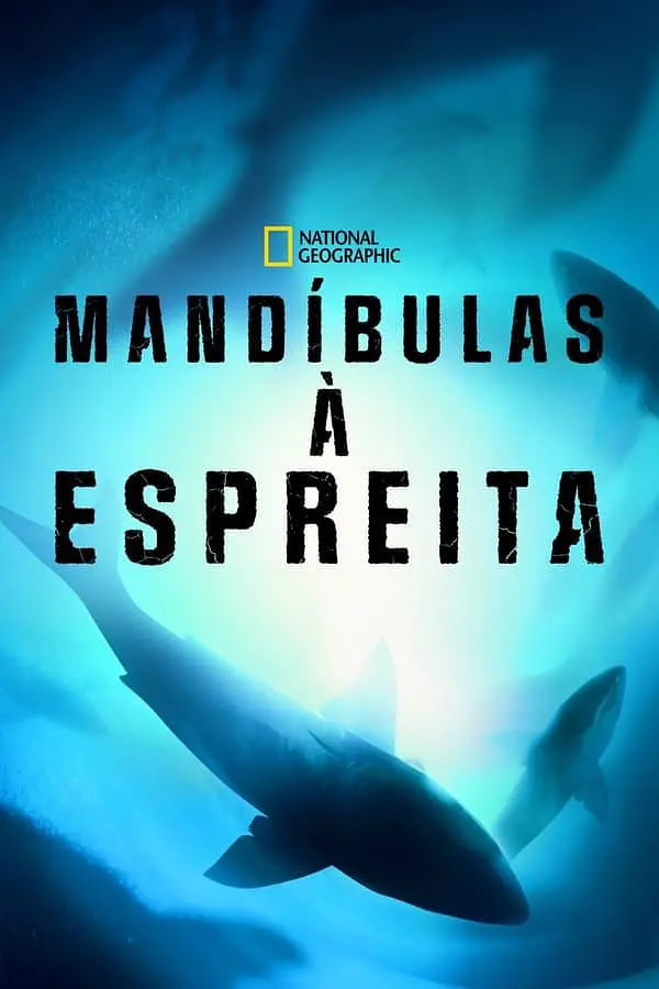 数数大白鲨(全集)