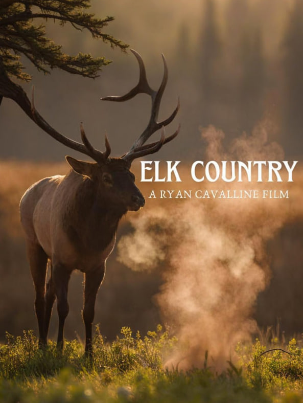 麋鹿之乡(全集)