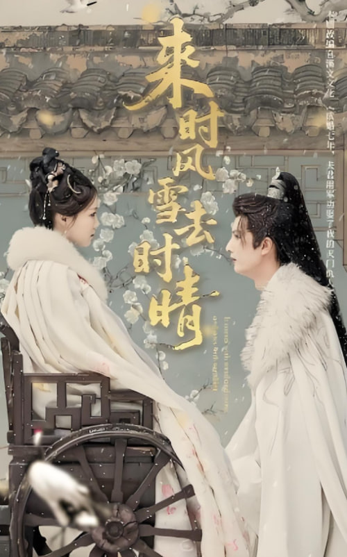 来时风雪去时晴(全集)