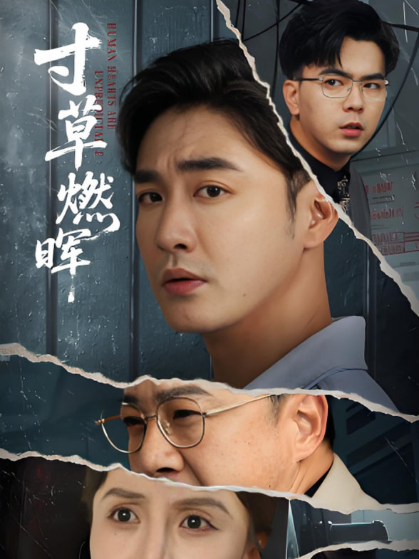 寸草燃晖(全集)