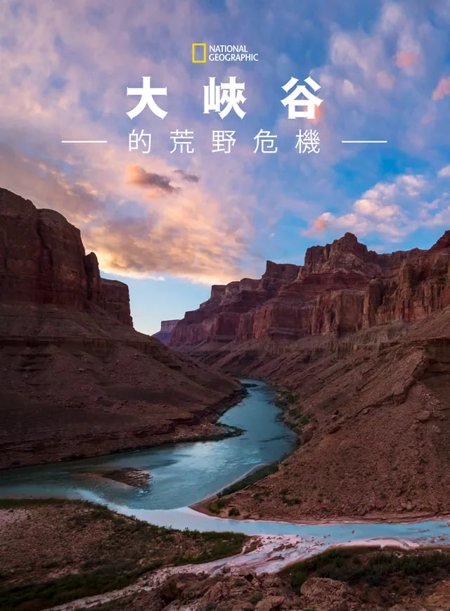 大峡谷的荒野危机(全集)