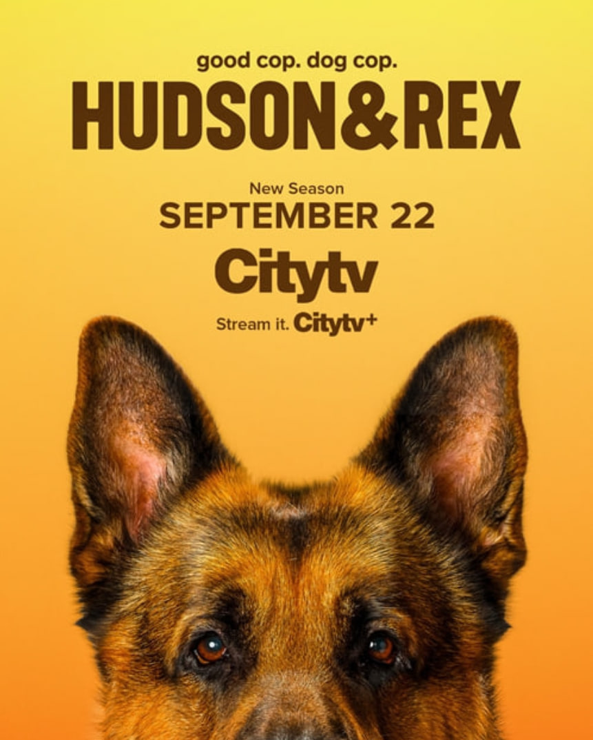 哈德森与雷克斯 第八季(全集)